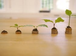 Growth of Money